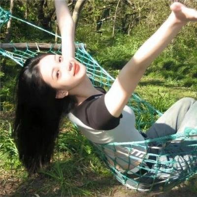 网中的太阳